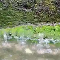 阿邪訶根神社の自然