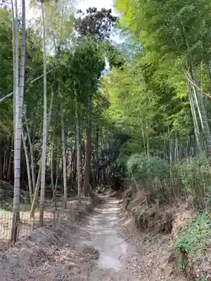 滝山不動尊の周辺