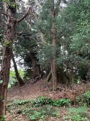 第六神社(千葉県)