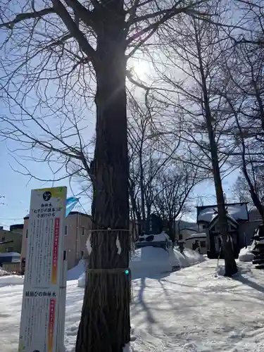 星置神社の自然