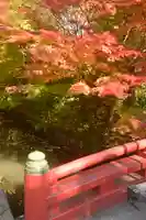 鶴岡八幡宮の自然