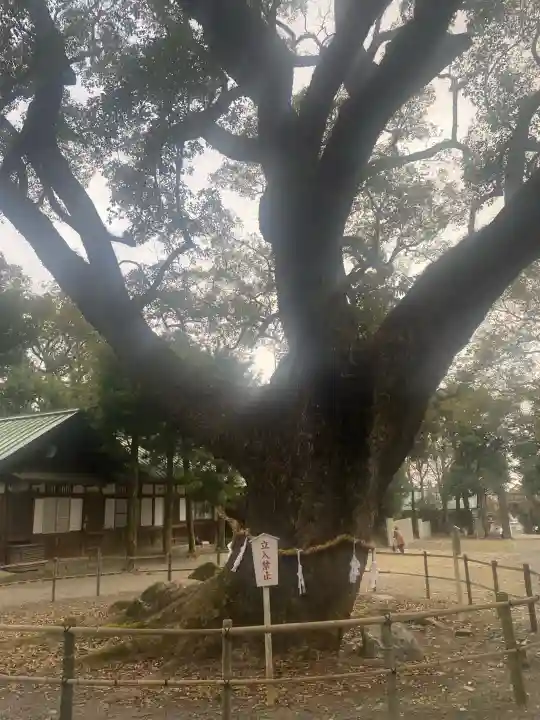 伊曽乃神社の{uncategorized: "未分類", other: "その他", undefined: "問題あり", building: "その他建物", grave: "お墓", sacred_gate: "鳥居", guardian: "狛犬", statue: "像", buddha: "仏像", history: "歴史", nature: "自然", garden: "庭園", animal: "動物", pagoda: "塔", temizu: "手水舎", mountain_gate: "山門・神門", sanctuary: "本殿・本堂", subordinate: "末社・摂社", art: "芸術", scenery: "景色", jizo: "地蔵", ema: "絵馬", goshuin: "御朱印", omikuji: "おみくじ", items: "授与品その他", amulet: "お守り", goshuincho: "御朱印帳", eats: "食事", festival: "お祭り", votive_dance: "神楽", shichigosan: "七五三参", wedding: "結婚式", experience: "体験その他", initially: "初詣", around: "周辺", anti_infection: "感染症対策"}
