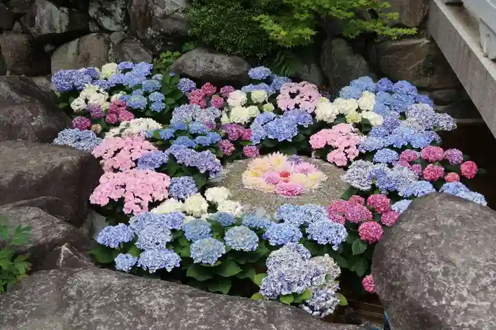 岡寺(龍蓋寺)(奈良県)