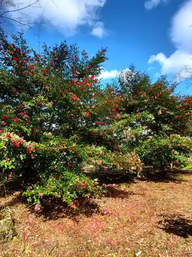 神炊館神社 ⁂奥州須賀川総鎮守⁂(福島県)