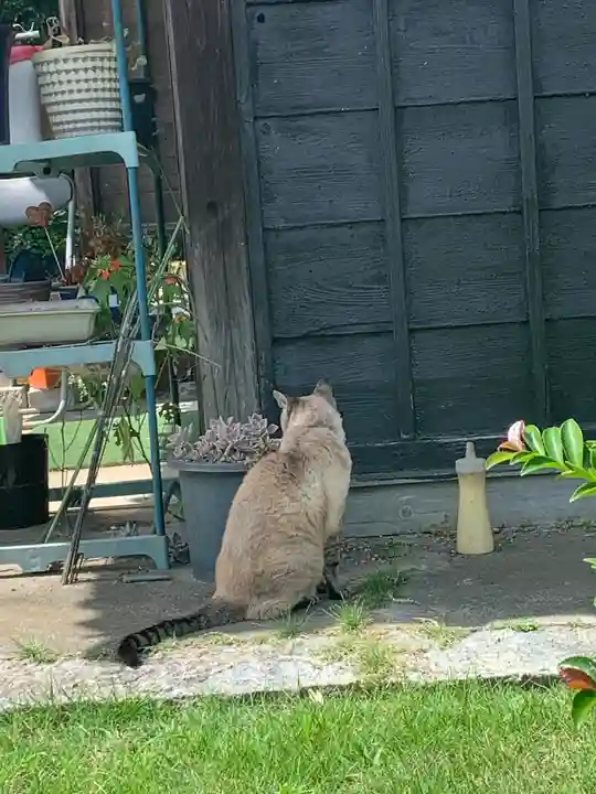 鴨鳥五所神社(茨城県)