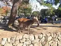 東大寺(奈良県)