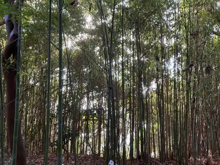 八大龍神社の自然