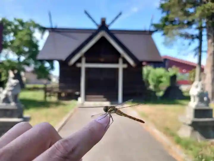 碧水神社の動物