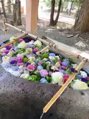 千歳神社の手水