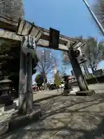 相模原氷川神社の{uncategorized: "未分類", other: "その他", undefined: "問題あり", building: "その他建物", grave: "お墓", sacred_gate: "鳥居", guardian: "狛犬", statue: "像", buddha: "仏像", history: "歴史", nature: "自然", garden: "庭園", animal: "動物", pagoda: "塔", temizu: "手水舎", mountain_gate: "山門・神門", sanctuary: "本殿・本堂", subordinate: "末社・摂社", art: "芸術", scenery: "景色", jizo: "地蔵", ema: "絵馬", goshuin: "御朱印", omikuji: "おみくじ", items: "授与品その他", amulet: "お守り", goshuincho: "御朱印帳", eats: "食事", festival: "お祭り", votive_dance: "神楽", shichigosan: "七五三参", wedding: "結婚式", experience: "体験その他", initially: "初詣", around: "周辺", anti_infection: "感染症対策"}