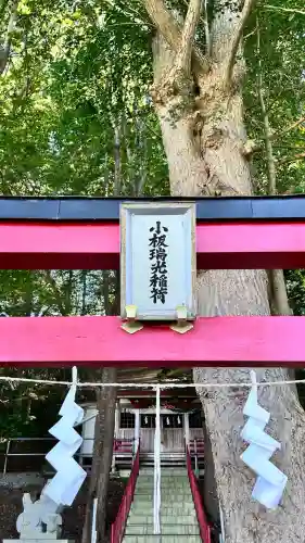 小板端光稲荷(北海道)