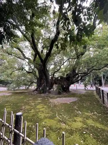 浜松八幡宮(静岡県)