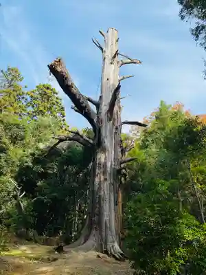 春日大社(奈良県)
