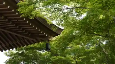 観音寺(千葉県)
