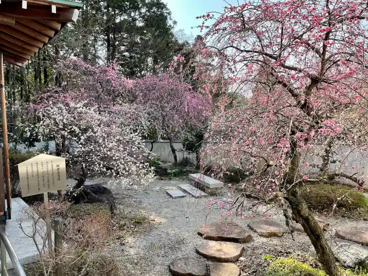 鬼法教総神苑(京都府)