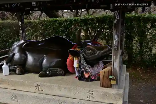 北野天満宮の狛犬