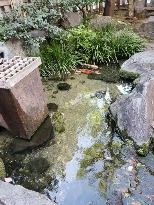 厳嶋神社の庭園
