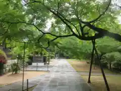 花山院菩提寺(兵庫県)