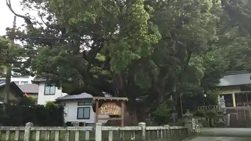 土肥神社のその他建物