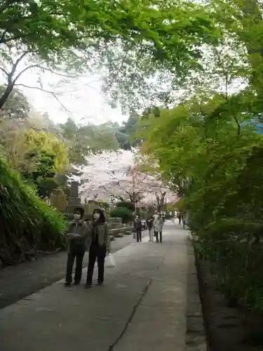 妙本寺の庭園