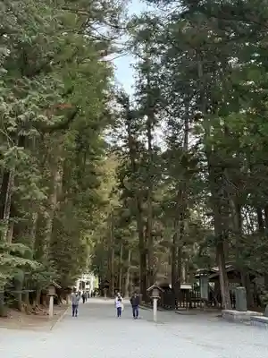 小國神社(静岡県)