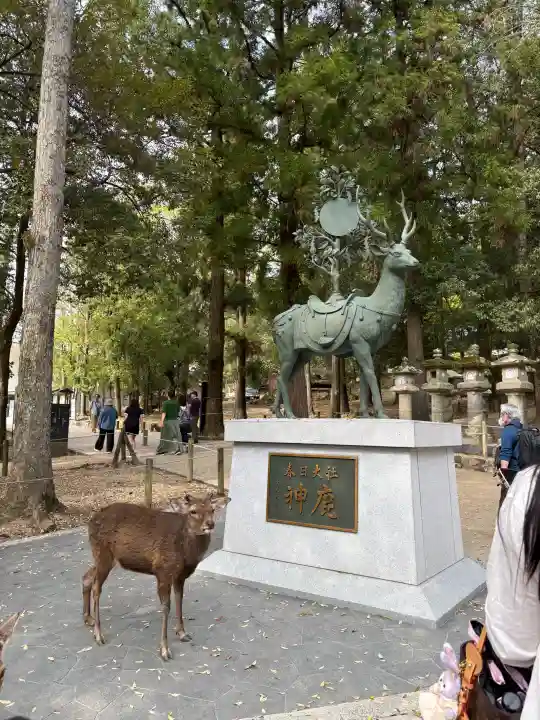 春日大社の{uncategorized: "未分類", other: "その他", undefined: "問題あり", building: "その他建物", grave: "お墓", sacred_gate: "鳥居", guardian: "狛犬", statue: "像", buddha: "仏像", history: "歴史", nature: "自然", garden: "庭園", animal: "動物", pagoda: "塔", temizu: "手水舎", mountain_gate: "山門・神門", sanctuary: "本殿・本堂", subordinate: "末社・摂社", art: "芸術", scenery: "景色", jizo: "地蔵", ema: "絵馬", goshuin: "御朱印", omikuji: "おみくじ", items: "授与品その他", amulet: "お守り", goshuincho: "御朱印帳", eats: "食事", festival: "お祭り", votive_dance: "神楽", shichigosan: "七五三参", wedding: "結婚式", experience: "体験その他", initially: "初詣", around: "周辺", anti_infection: "感染症対策"}