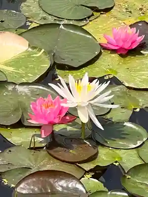堀切天祖神社(東京都)
