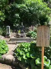 安養院　(田代寺）(神奈川県)