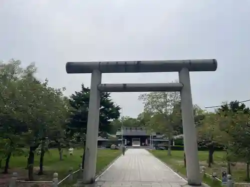 札幌護國神社の鳥居
