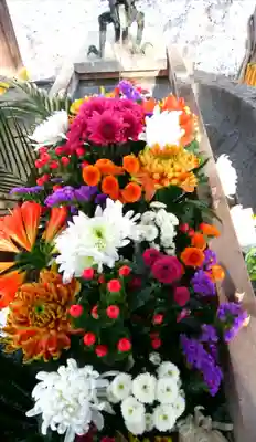 彌彦神社　(伊夜日子神社)の手水舎