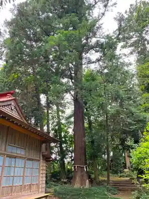大井神社のその他建物