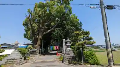 玉田神社(京都府)
