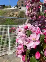 龍宮神社(北海道)