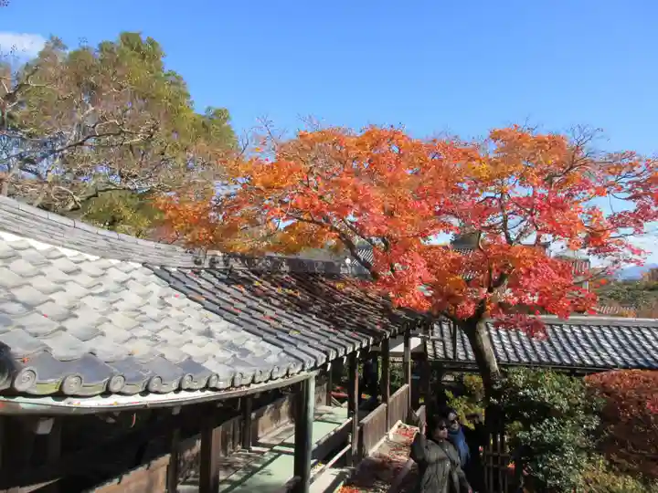 天龍寺(京都府)