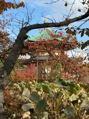 寛永寺不忍池弁天堂(東京都)