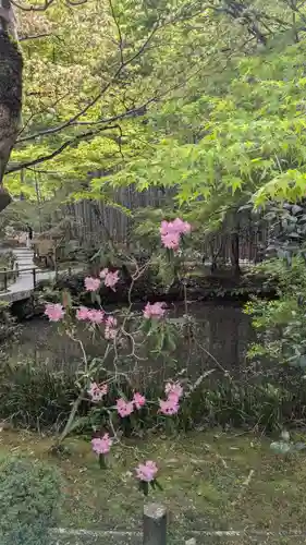 圓光寺(京都府)