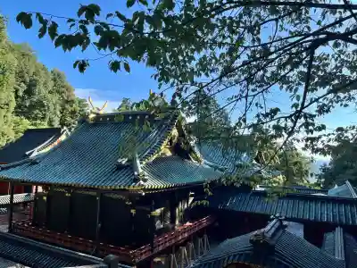 久能山東照宮の{uncategorized: "未分類", other: "その他", undefined: "問題あり", building: "その他建物", grave: "お墓", sacred_gate: "鳥居", guardian: "狛犬", statue: "像", buddha: "仏像", history: "歴史", nature: "自然", garden: "庭園", animal: "動物", pagoda: "塔", temizu: "手水舎", mountain_gate: "山門・神門", sanctuary: "本殿・本堂", subordinate: "末社・摂社", art: "芸術", scenery: "景色", jizo: "地蔵", ema: "絵馬", goshuin: "御朱印", omikuji: "おみくじ", items: "授与品その他", amulet: "お守り", goshuincho: "御朱印帳", eats: "食事", festival: "お祭り", votive_dance: "神楽", shichigosan: "七五三参", wedding: "結婚式", experience: "体験その他", initially: "初詣", around: "周辺", anti_infection: "感染症対策"}