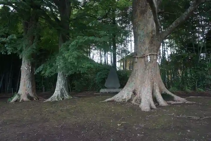 水戸八幡宮の自然