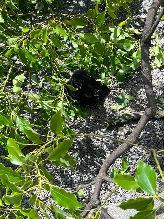 來宮神社(静岡県)