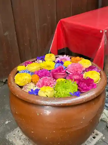 菅生神社(愛知県)