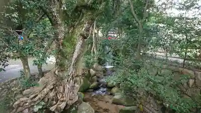 常宮神社(福井県)