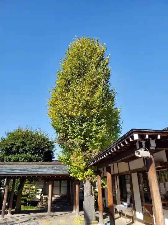 開成山大神宮の自然