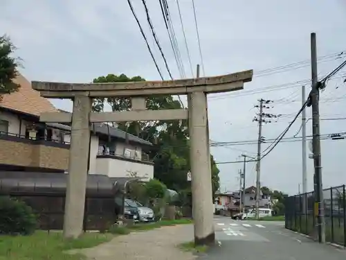 泊神社の鳥居