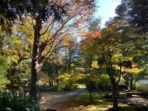 長仙寺(東京都)