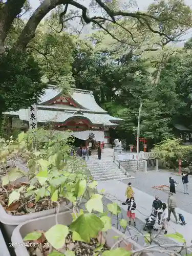 來宮神社の景色