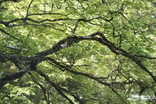 高野山金剛峯寺(和歌山県)