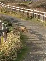 霧多布神社(北海道)