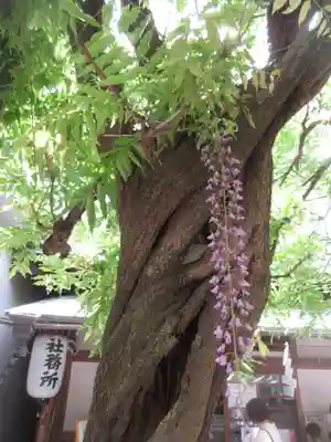 國領神社(東京都)