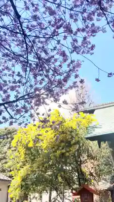 蔵前神社(東京都)