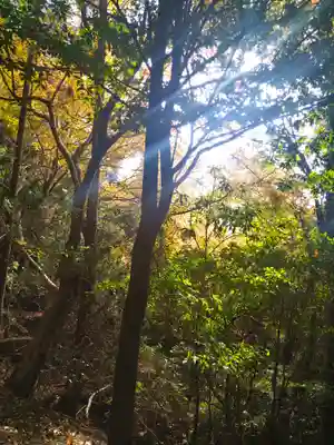御山神社(厳島神社奧宮)(広島県)